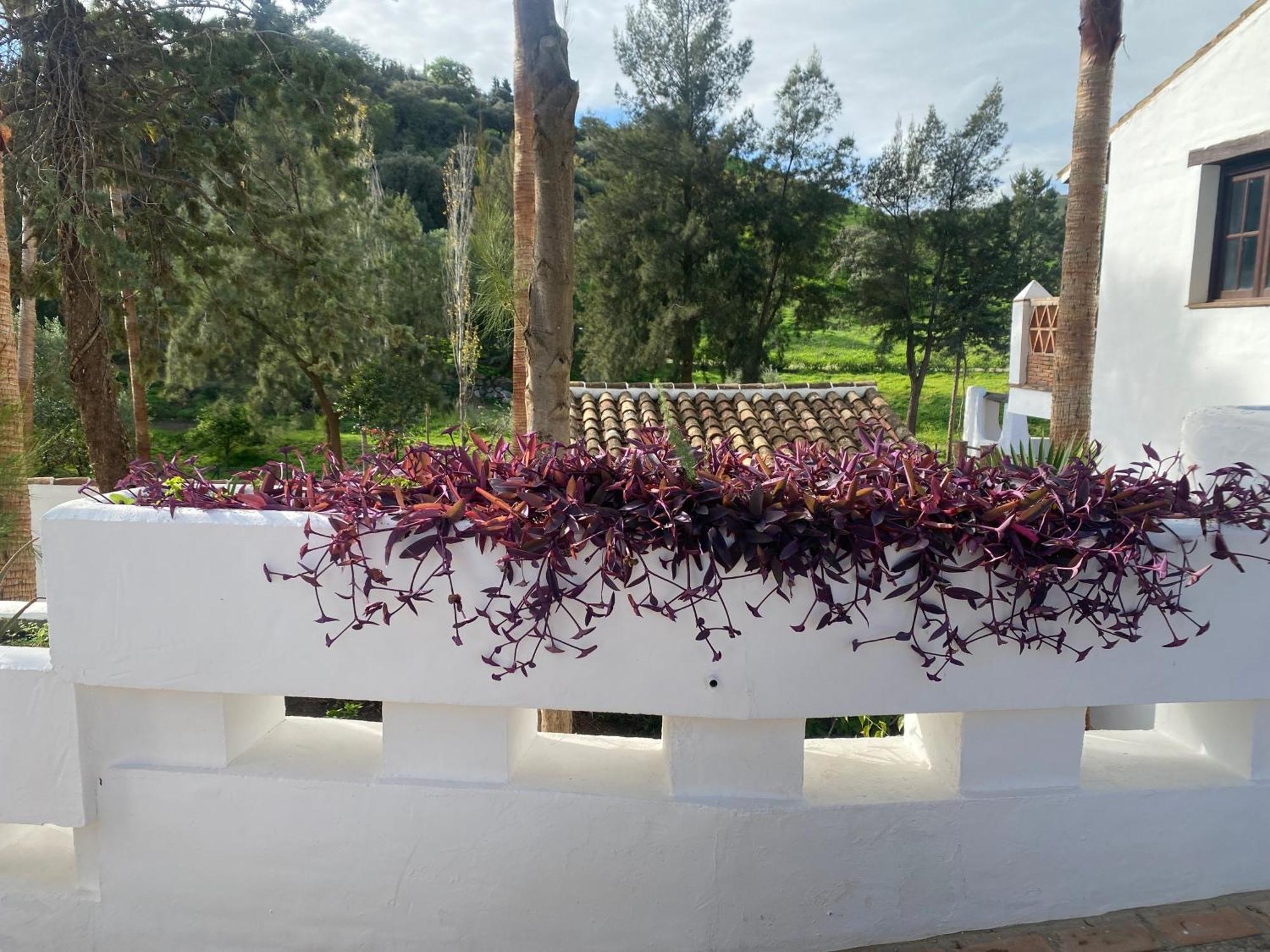 Malaga Sierra De Las Nieves By Real Spain Hotels Adults Recommended Casarabonela Ngoại thất bức ảnh